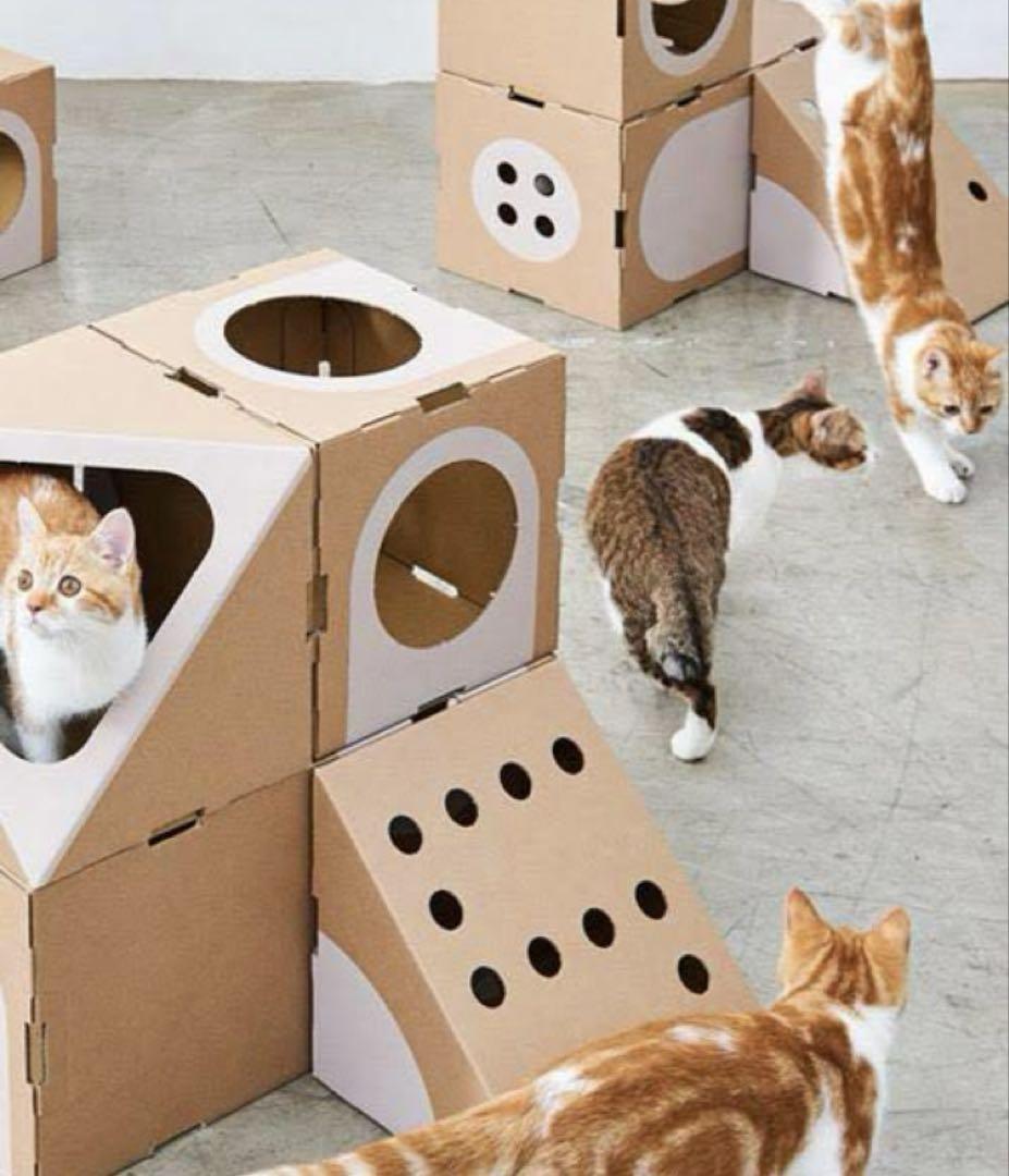 多頭飼い