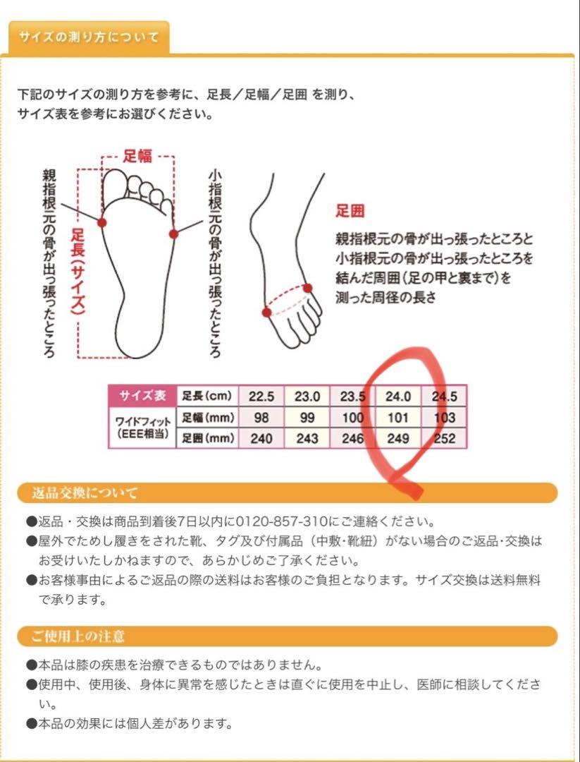 MIZUNOウォーキングシューズ グッドムービングウォーキングシューズ 24cm