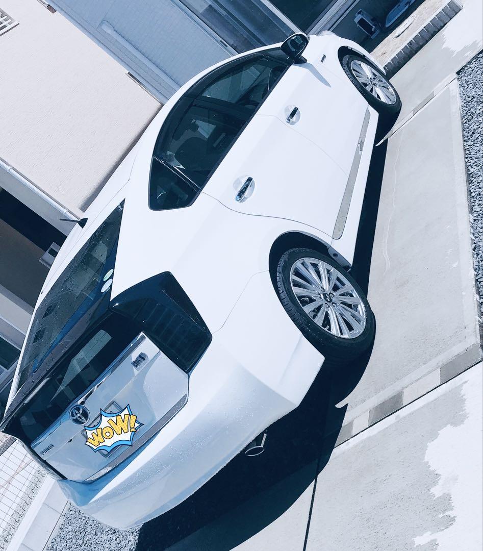 プリウス30系 Prius 専用 サイドガーニッシュ【E97】