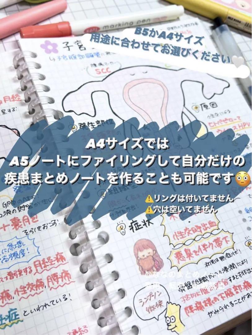 新版 セット販売】A4サイズ 国試頻出疾患＋重要項目 まとめノート 語学・辞書・学習参考書