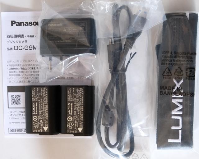 小物などお買い得な福袋 ボディ DC-G9M2 LUMIX パナソニック 予備バッテリ メルカリ - デジタルカメラ