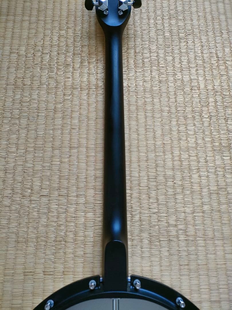 美品】Gold Tone AC-4IT アイリッシュテナーバンジョー ケルトの