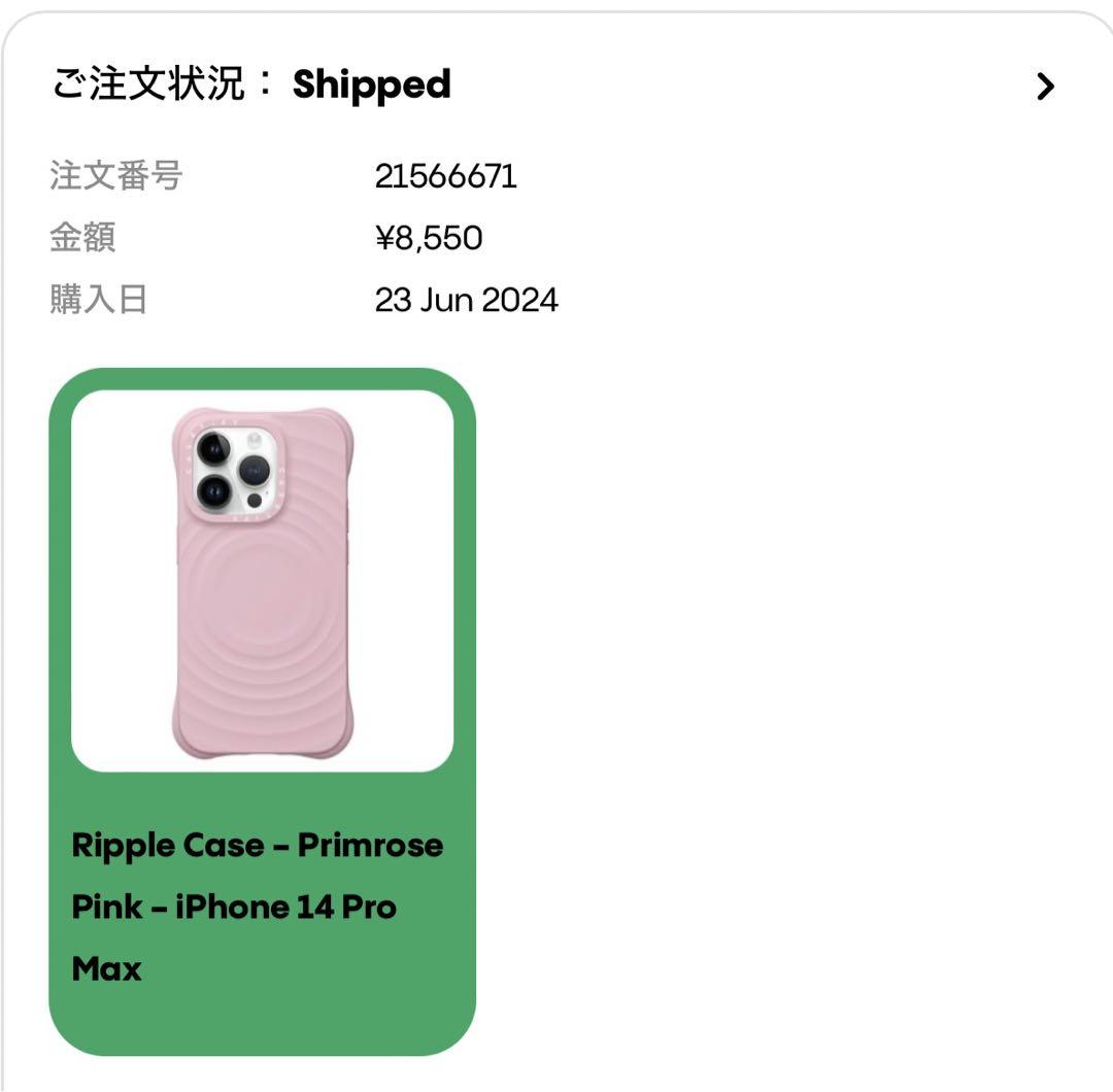 ❮ゆ❯ Casetify iPhone14pro max