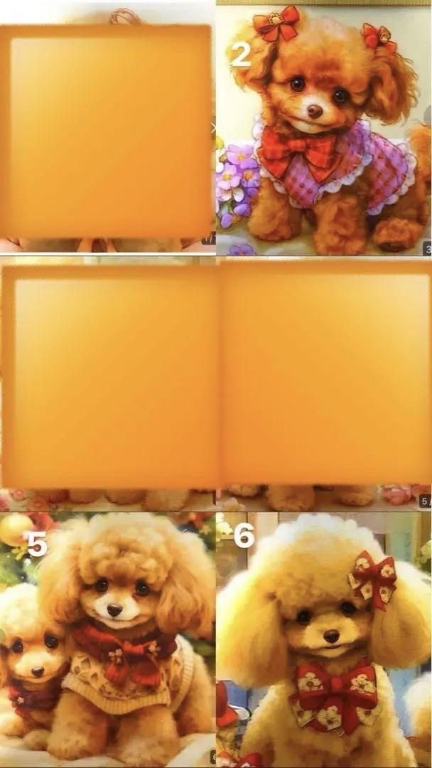 パネル生地　＊kina＊②トイプードル ハンドメイド 可愛いトイプードルちゃんパネル❣️