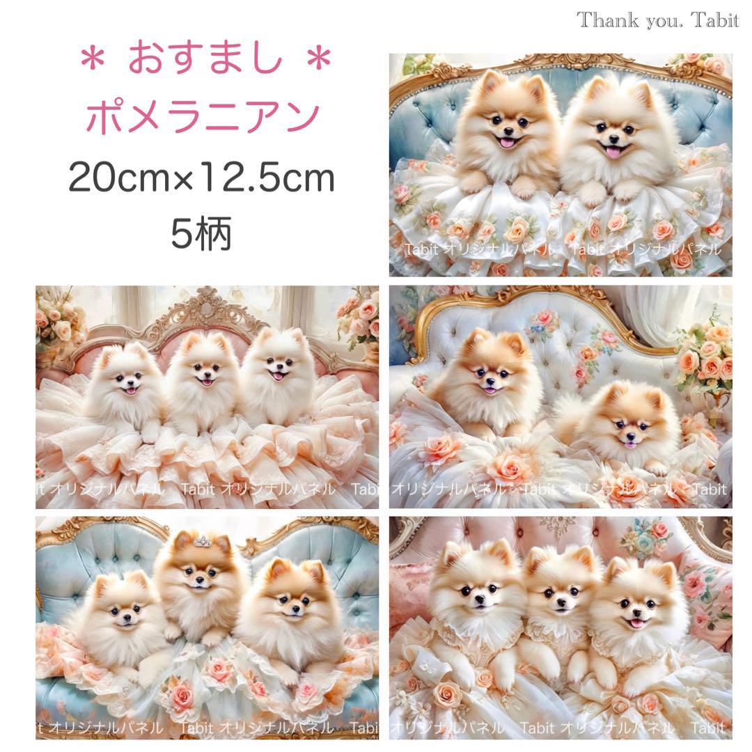 Sumire ♥︎handmade♥︎様専用ページஐ:*