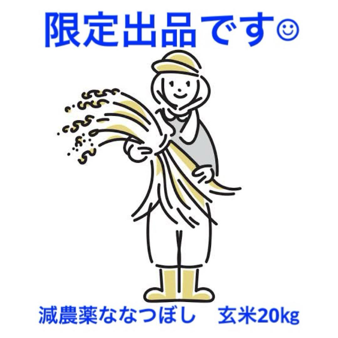 北海道産米  令和6年産  新米 減農薬ななつぼし玄米20㎏