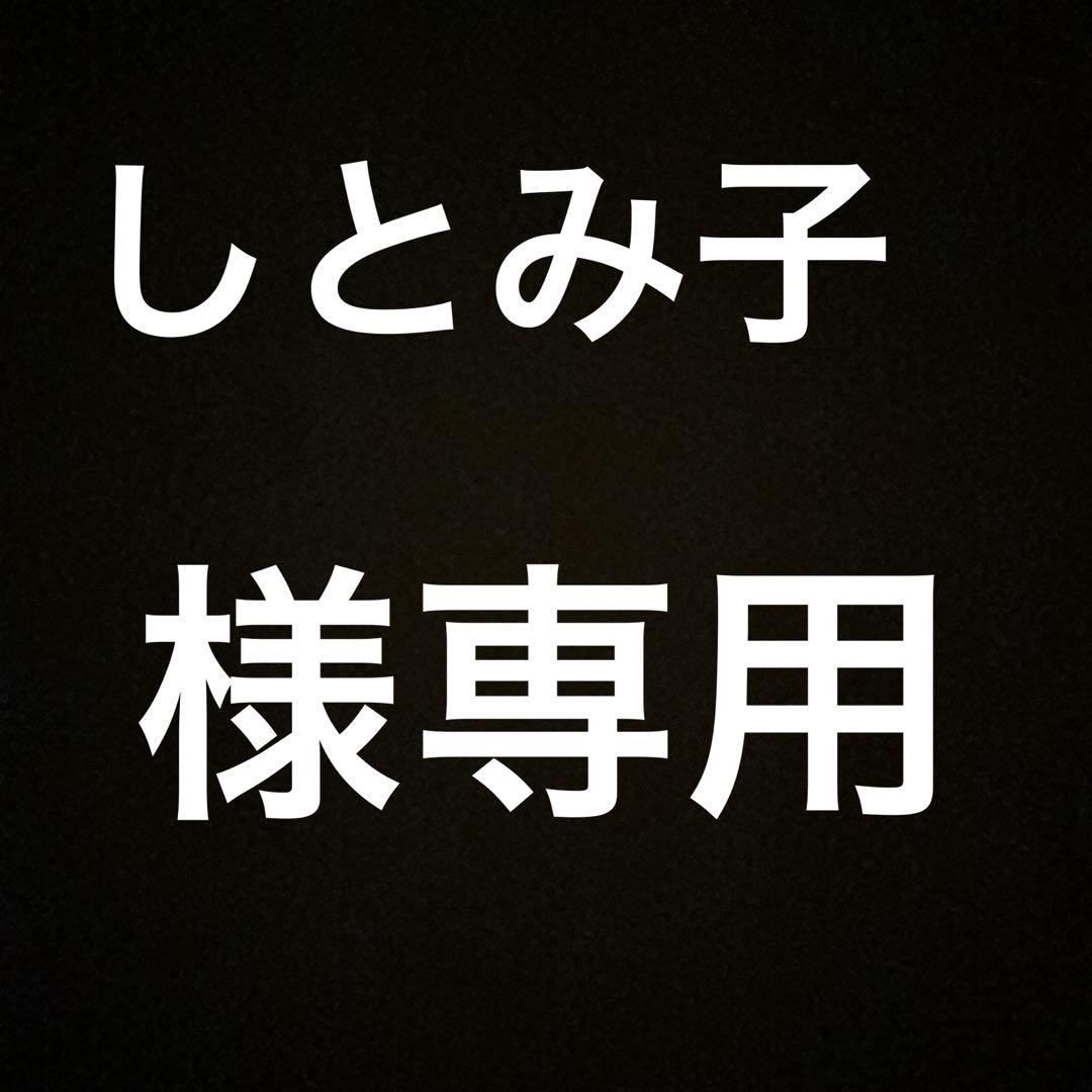 しとみ子様専用