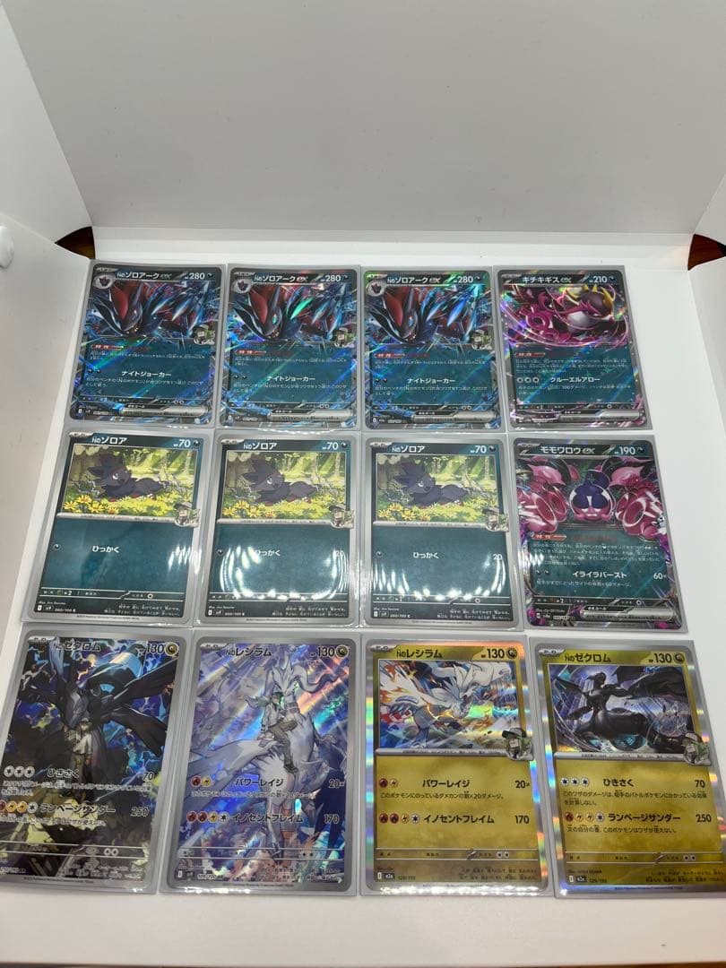 ポケカ】Nのデッキシールド63枚 N