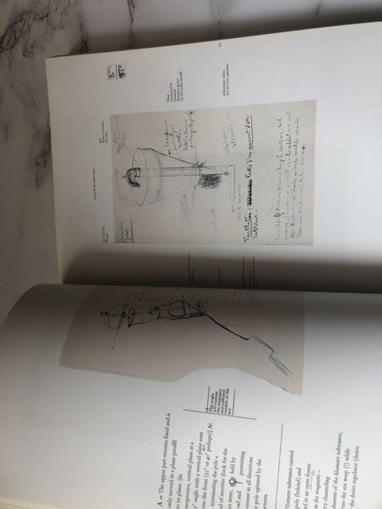 新作超激安 Marcel Duchamp Vita Opera デュシャンの生涯と作品 英語 jy45x-m92503663486 特価HOT