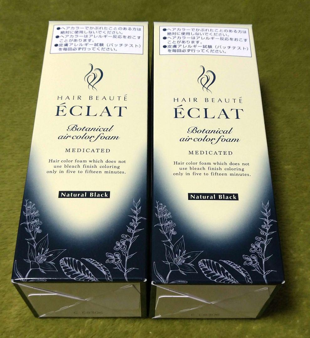 【匿名配送】ボタニカル エアカラーフォーム EX ナチュラルブラック 80g×2