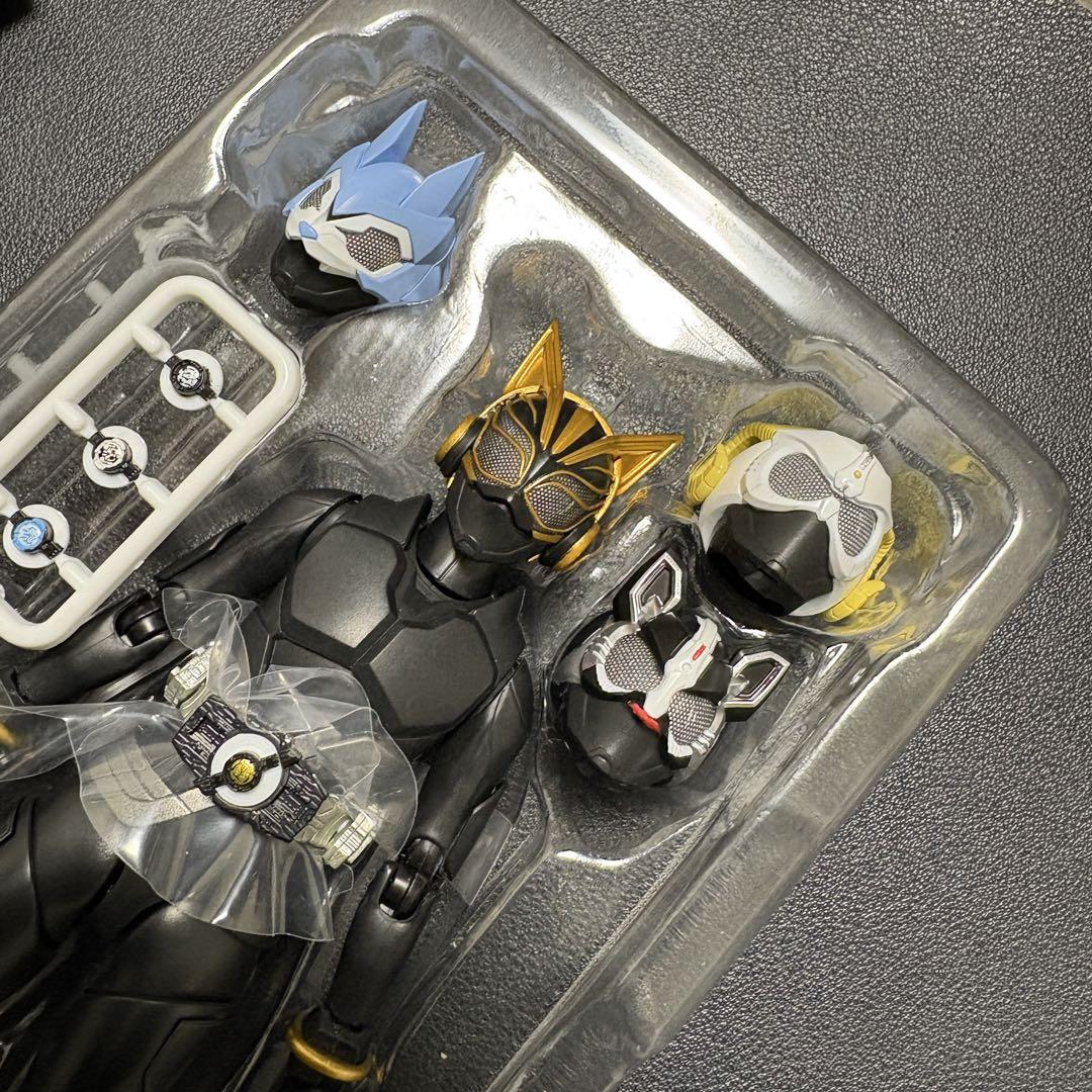 仮面ライダーナーゴ エントリーレイズフォーム&エントリーレイズセット