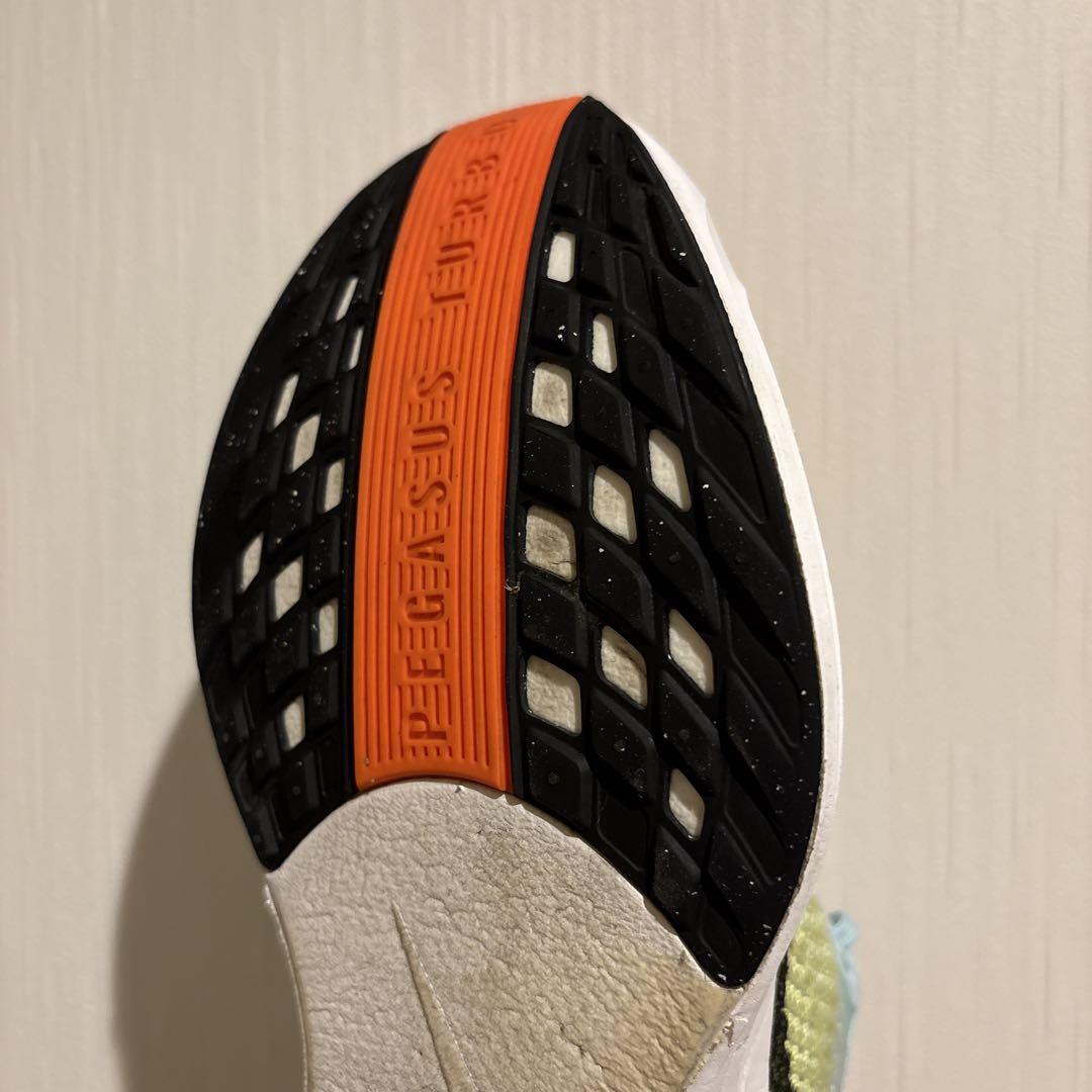 【みつ】Nike ペガサスプラス