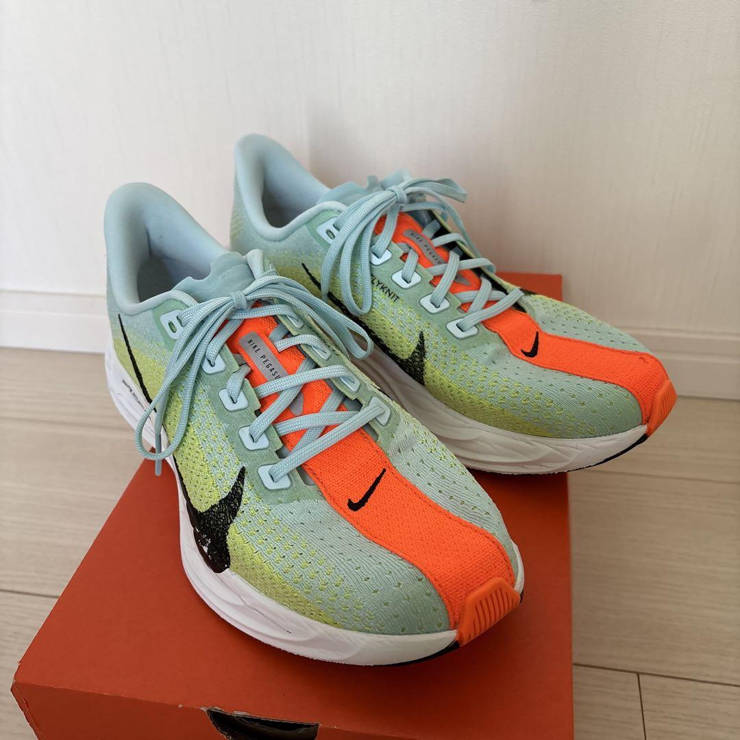 【みつ】Nike ペガサスプラス