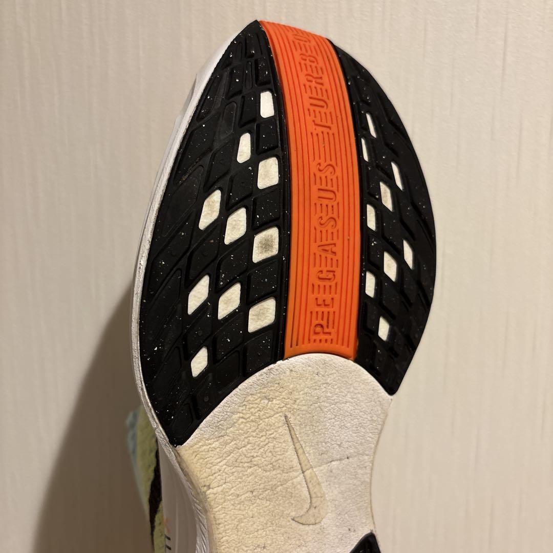 【みつ】Nike ペガサスプラス