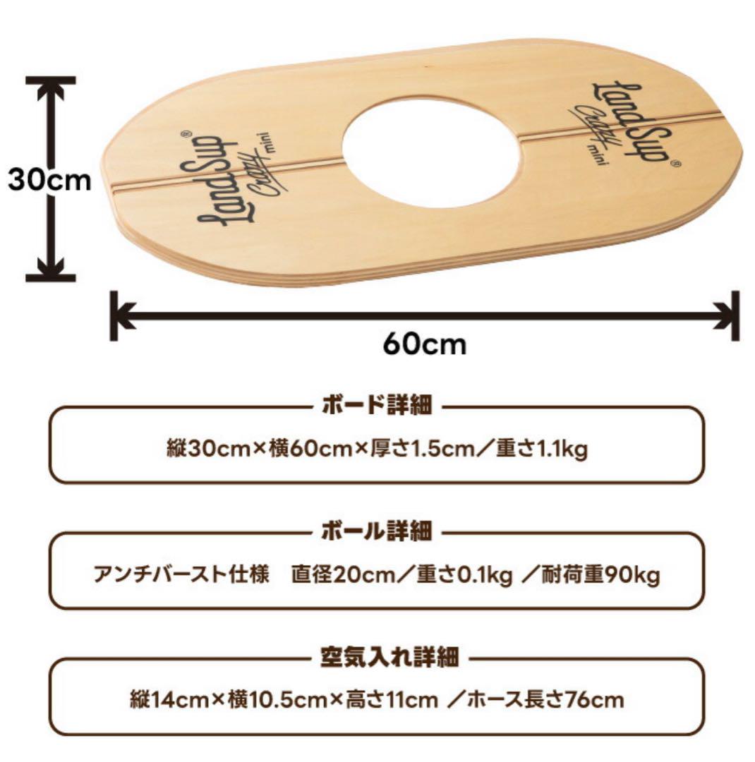 バランスボード サーフィン LandSup ランドサップ クレイジーミニ