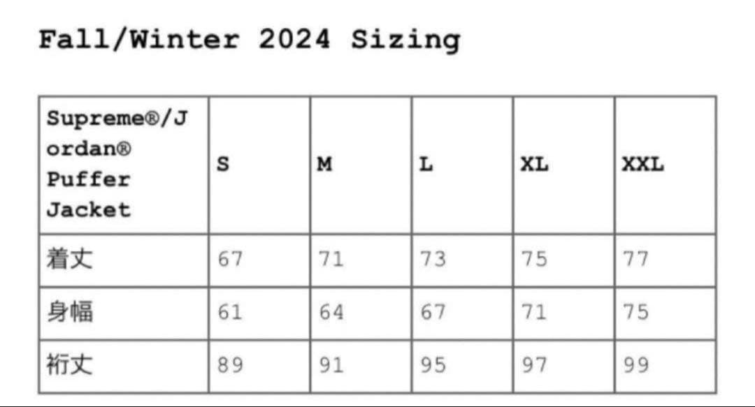 新品未使用タグ付き Supreme x Jordan Puffer Jacket