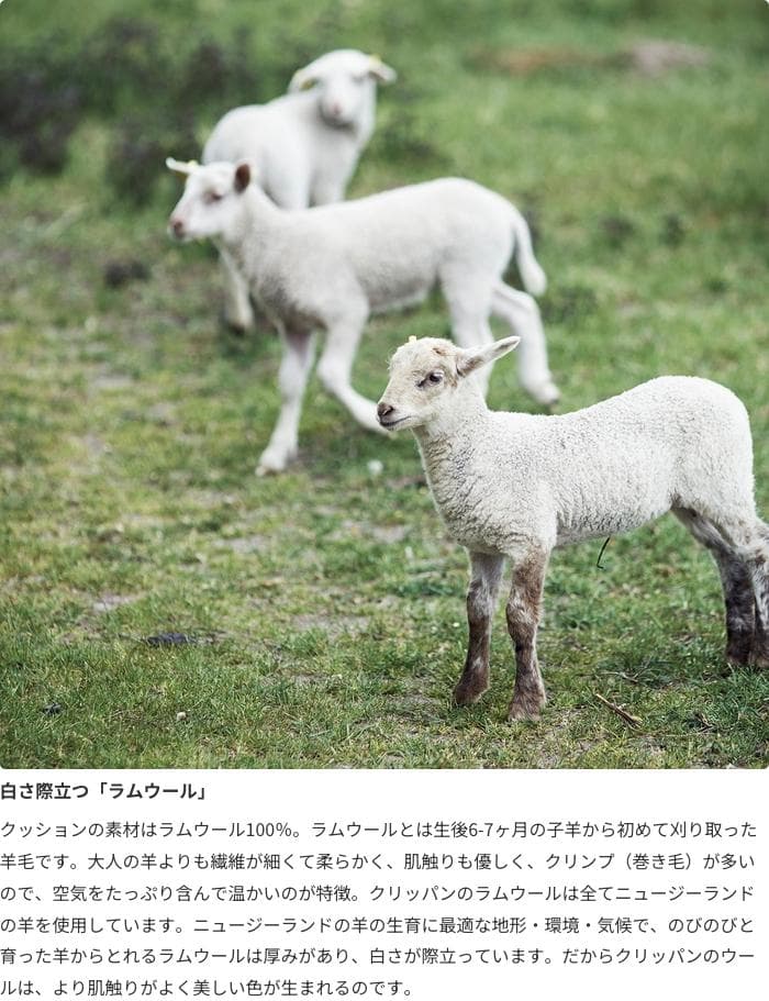 サンバ ブラックKLIPPAN