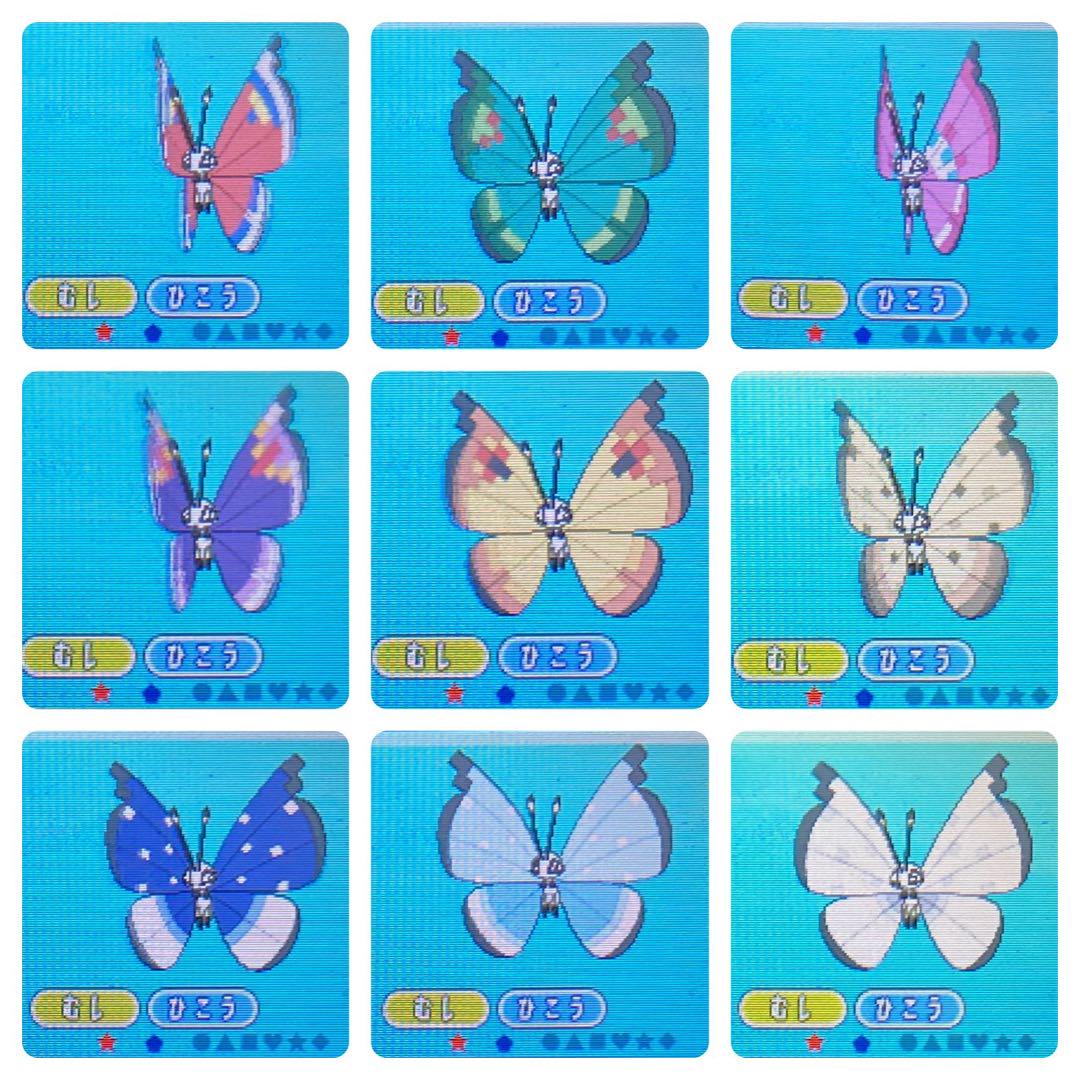 ポケモン X 6世代リボンコンプ色ホウエン3神 210 ポケモン X 6世代リボンコンプ色ホウエン3神 210