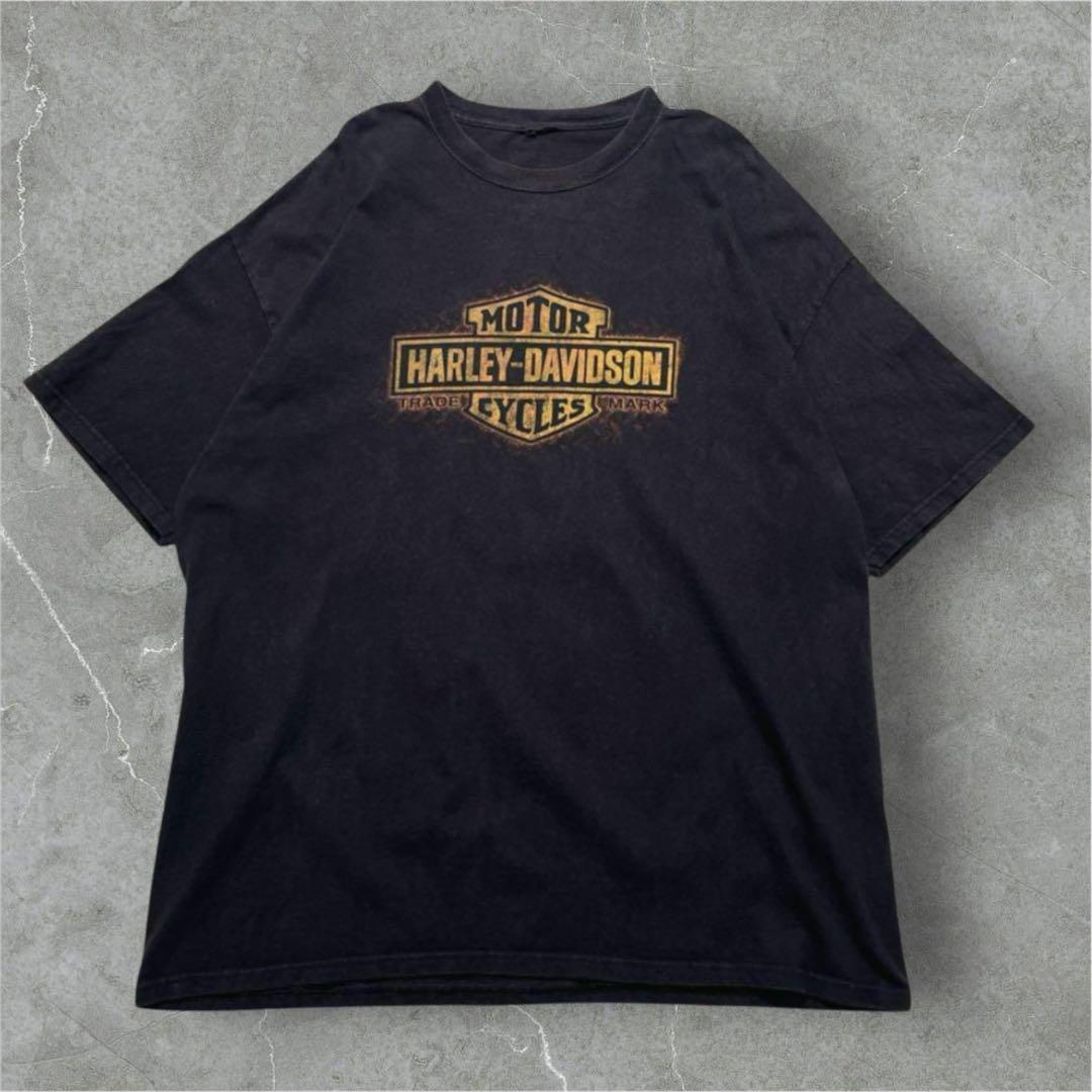 00's HARLEY DAVIDSON ハーレーダビッドソン ロンT 長袖Tシャツ