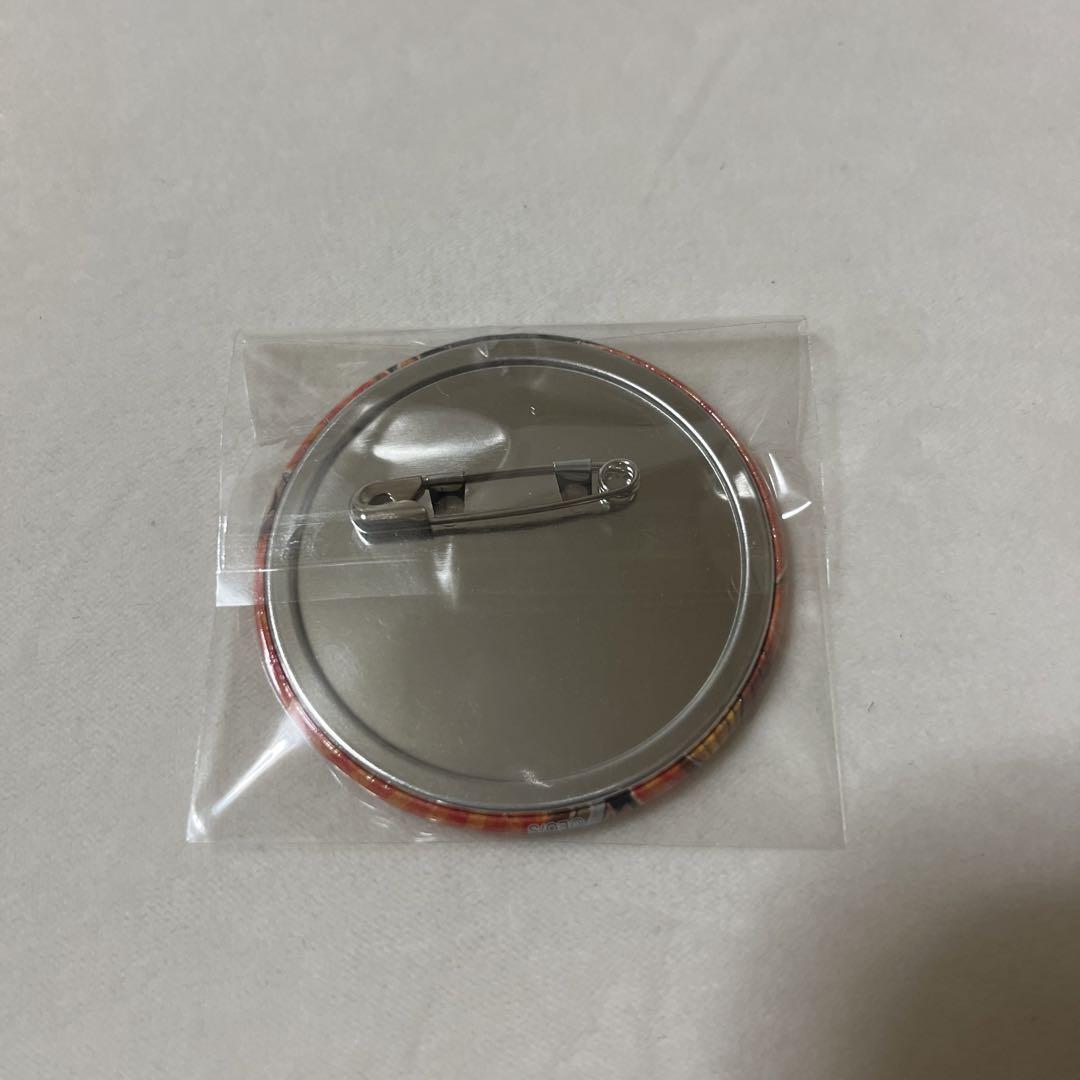 ワンピース ジャンプフェスタ 2019 盃三兄弟 缶バッジ エース