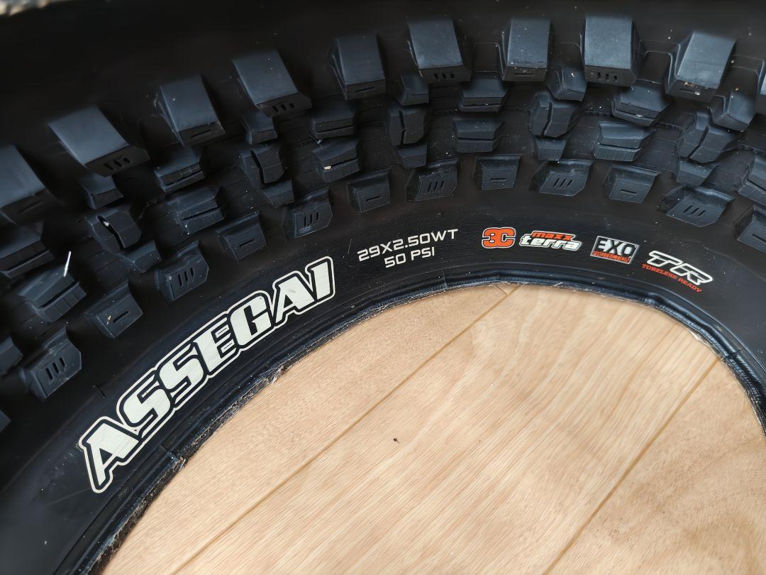 MAXXIS ASSAULT チューブラータイヤ