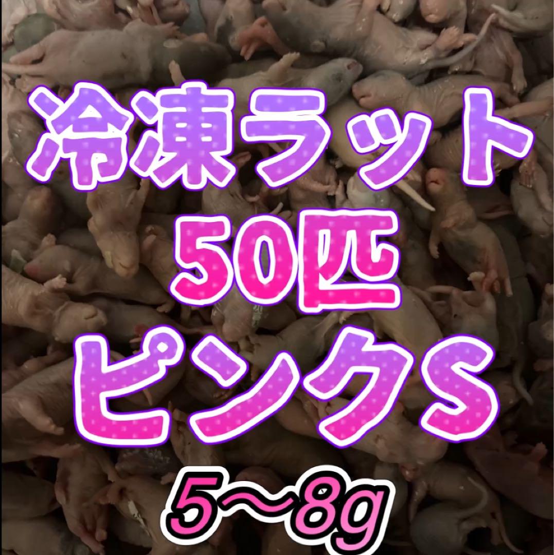 限定激安　送料無料　冷凍ピンクラットS　オフ品　100匹　5g〜8g 1匹60円