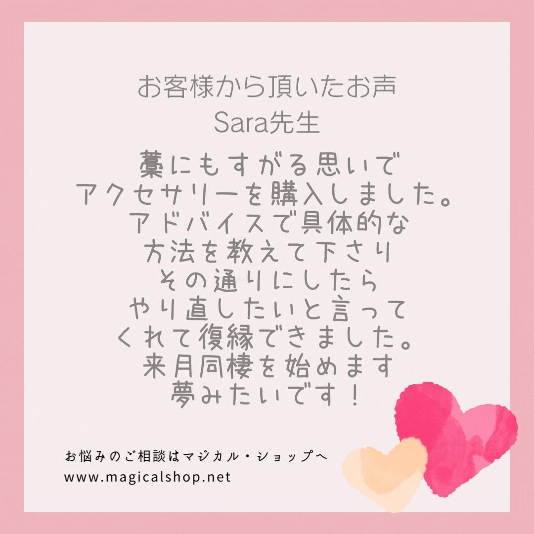 あなたの元に舞い戻る 楽しかった日々を取り戻したい バタフライ