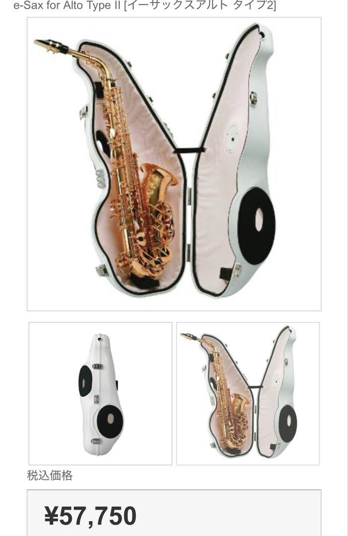 ★都内お手渡し限定★e-Sax アルトサイズ