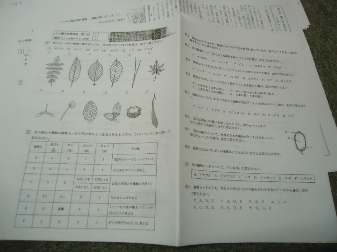 浜学園　小6　 灘中合格特訓　国算理　確認テスト付属　2021年　状態良