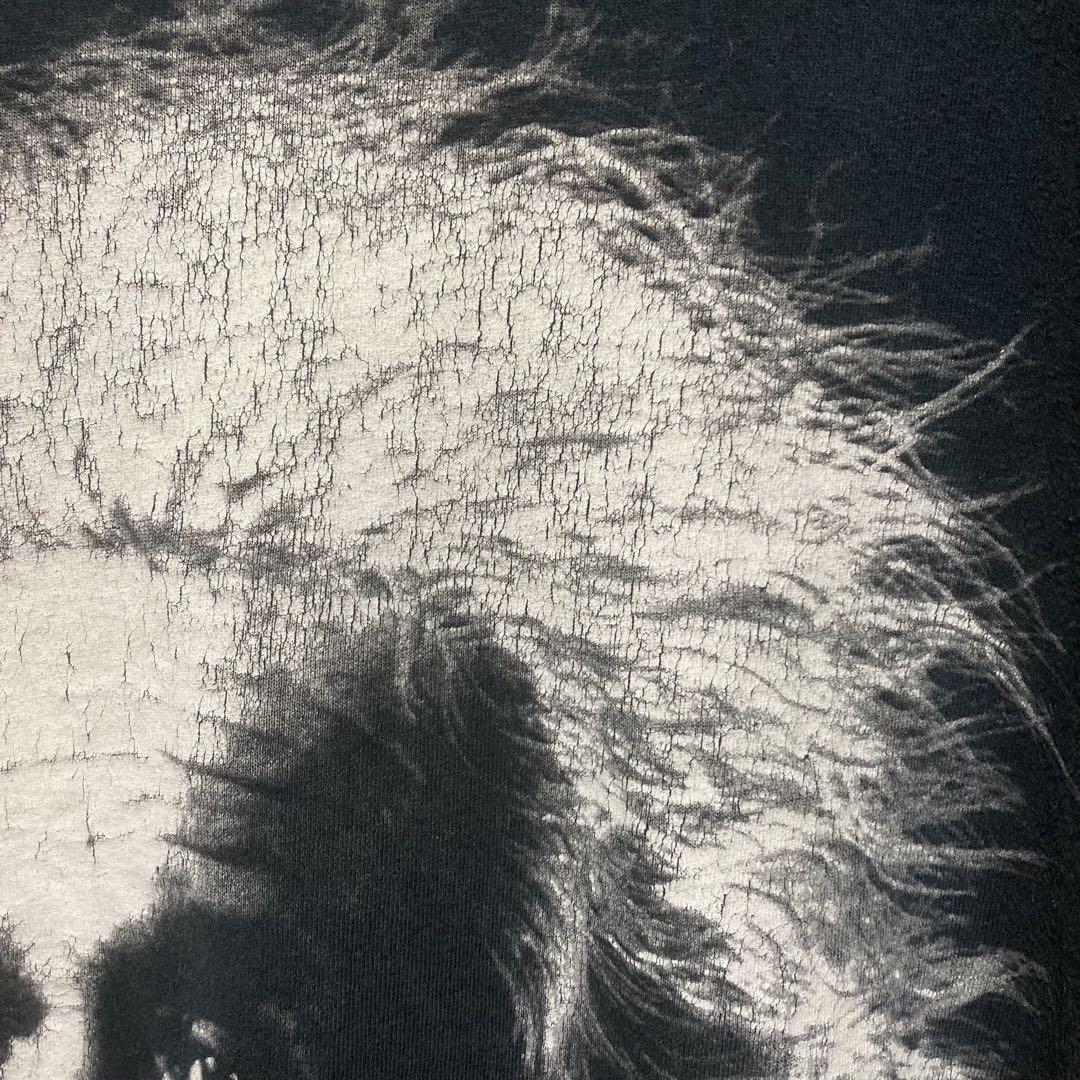 Albert Einstein Tシャツ XL アインシュタイン GILDAN