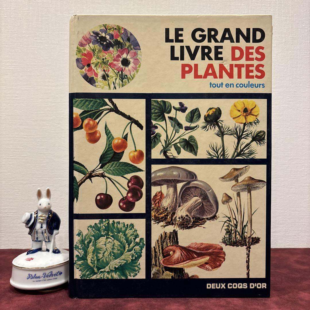 528⑧ビンテージ　フランスの植物図鑑　洋書　古書　ボタンニカルアート　イラスト