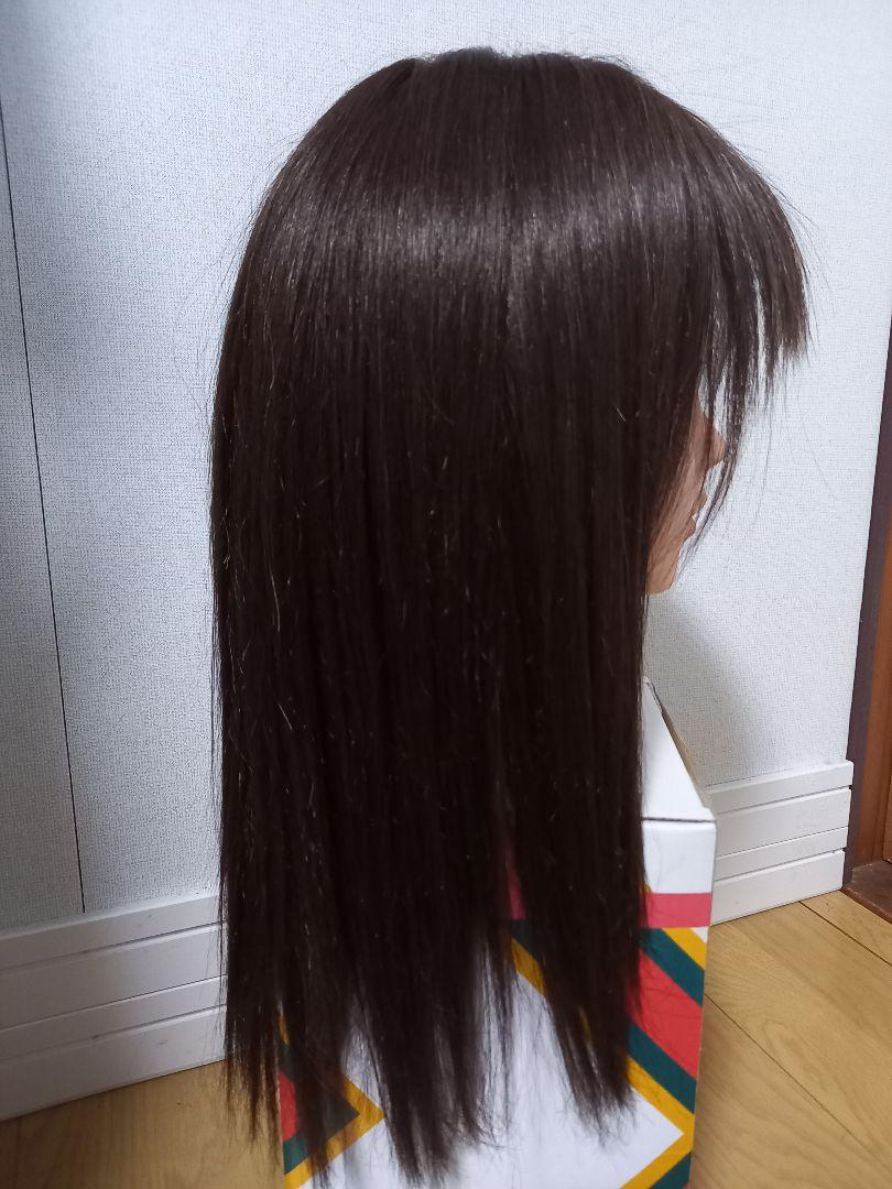 フルウィッグ ロングストレート アクアドール 医療用 人毛ミックス