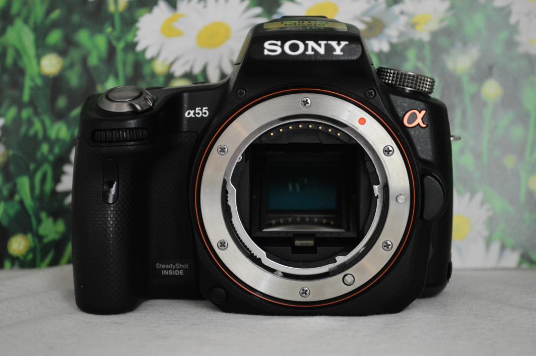 ソニー の人気一眼レフ♪Wレンズでカメラデビューに◎❤️SONY α55 画像5