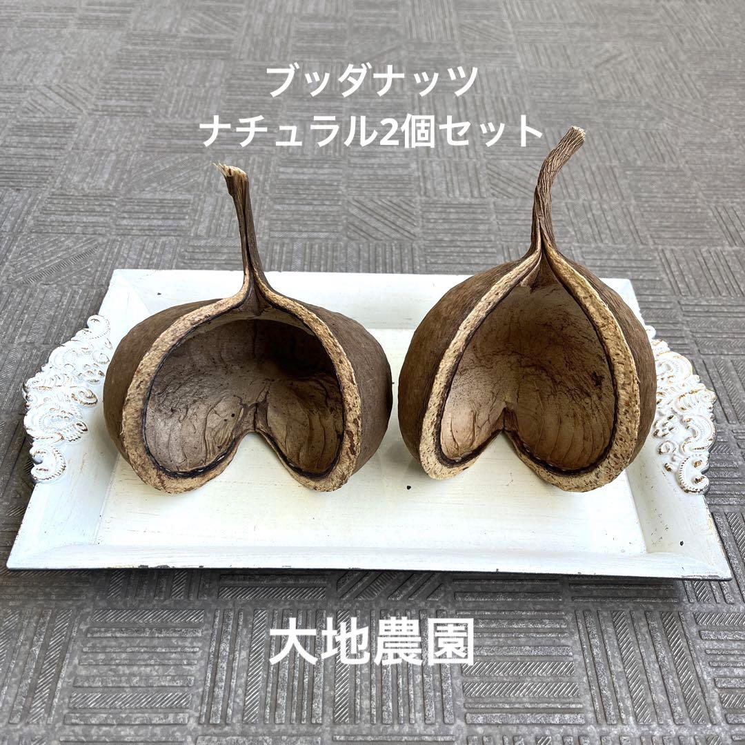 済　mayufuji様　ご専用