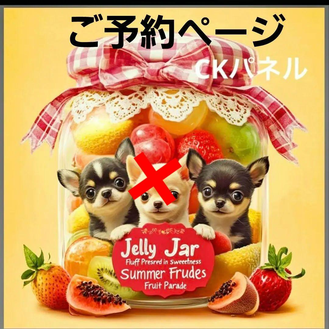 激レアねこ、チワワパネル生地　ハンドメイド　両面パネルフラットポーチ 激レアねこ、チワワパネル生地ハンドメイド両面パネルフラットポーチ