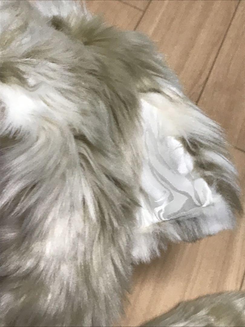 SPIRITHOODS SNOW LEOPARD アニマルフード
