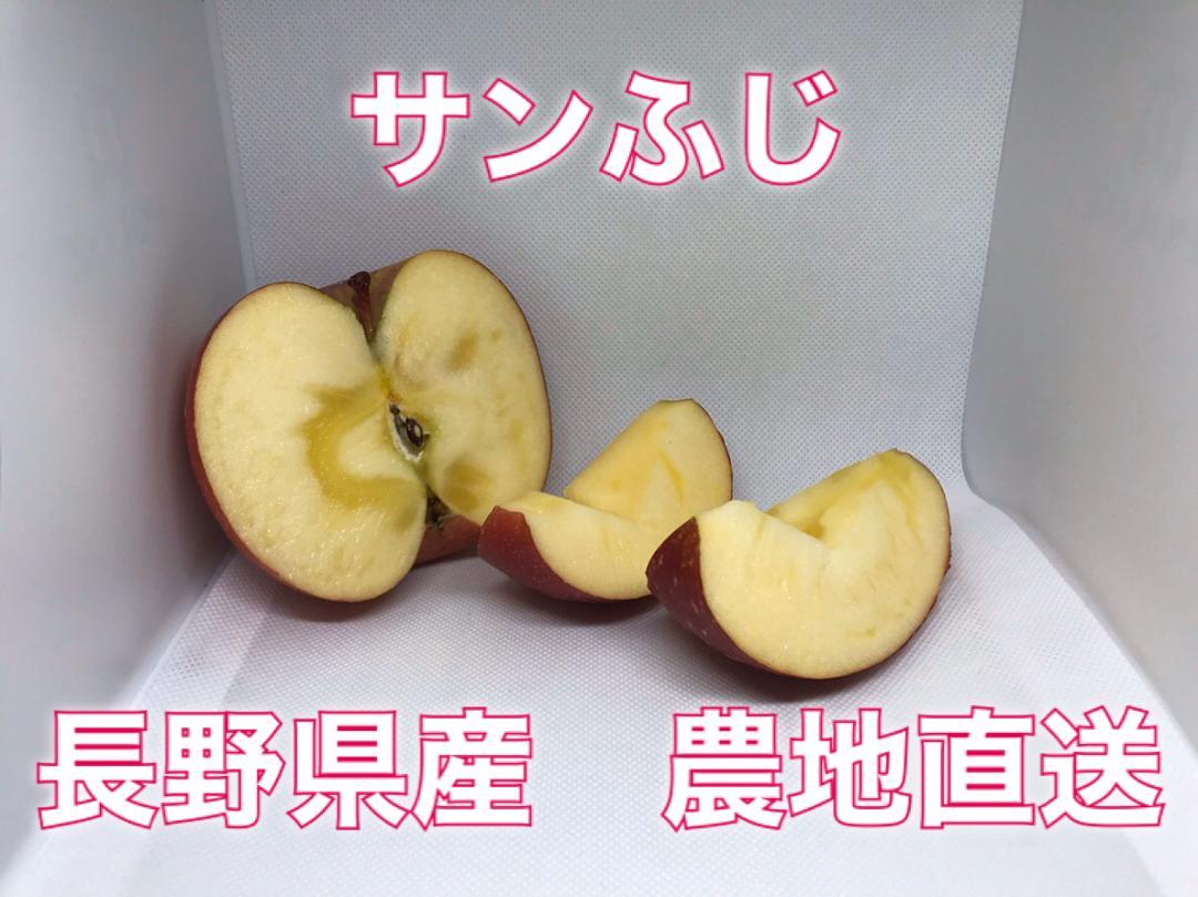 特選サンふじ　10キロ　大玉28玉　長野県産　減農薬　化学肥料不使用　贈答用
