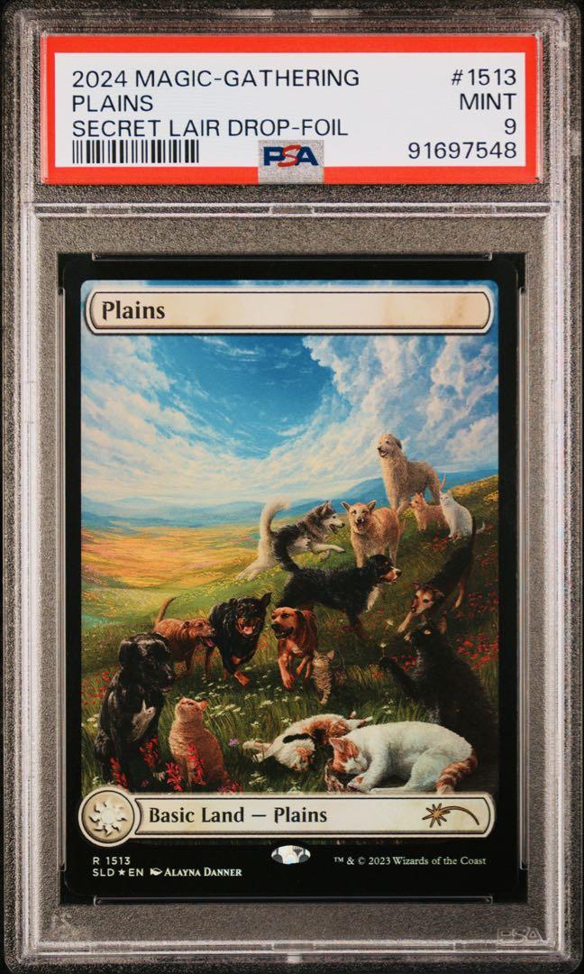 【PSA9】 secret lair Raining Cats and Dogs