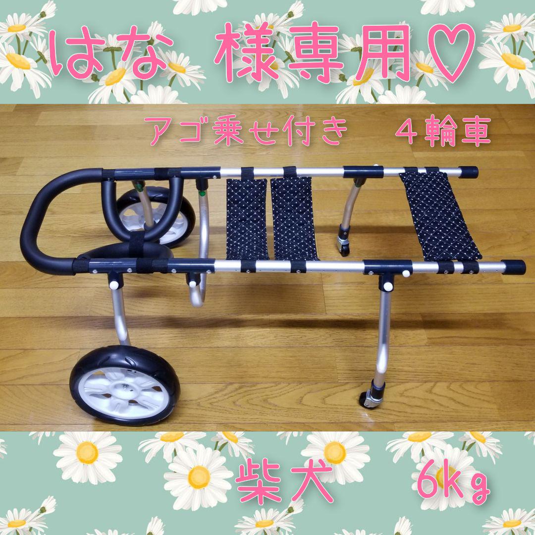 絶盤:解剖学ノート6胸郭(フランス語)