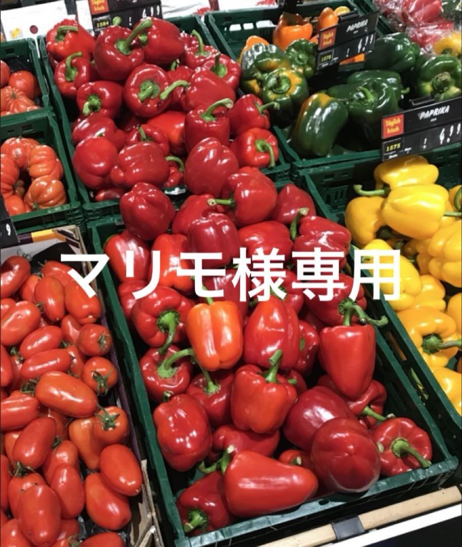 906 新品 黒ブラック 柄メッシュゆったり変形トップス