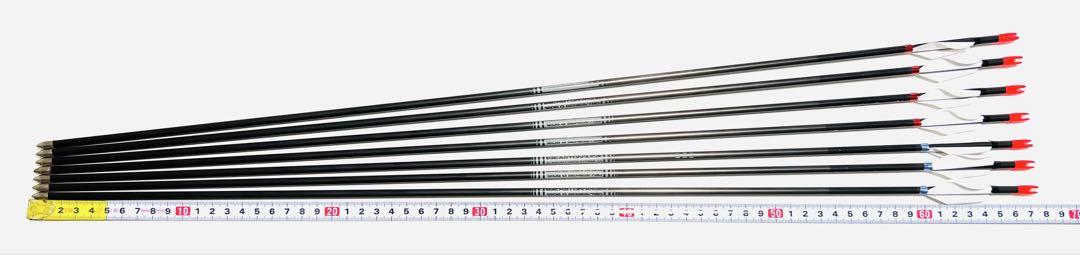 アーチェリー　EASTON　 A/C/E 780アロー7本　G赤ノック　ACE矢