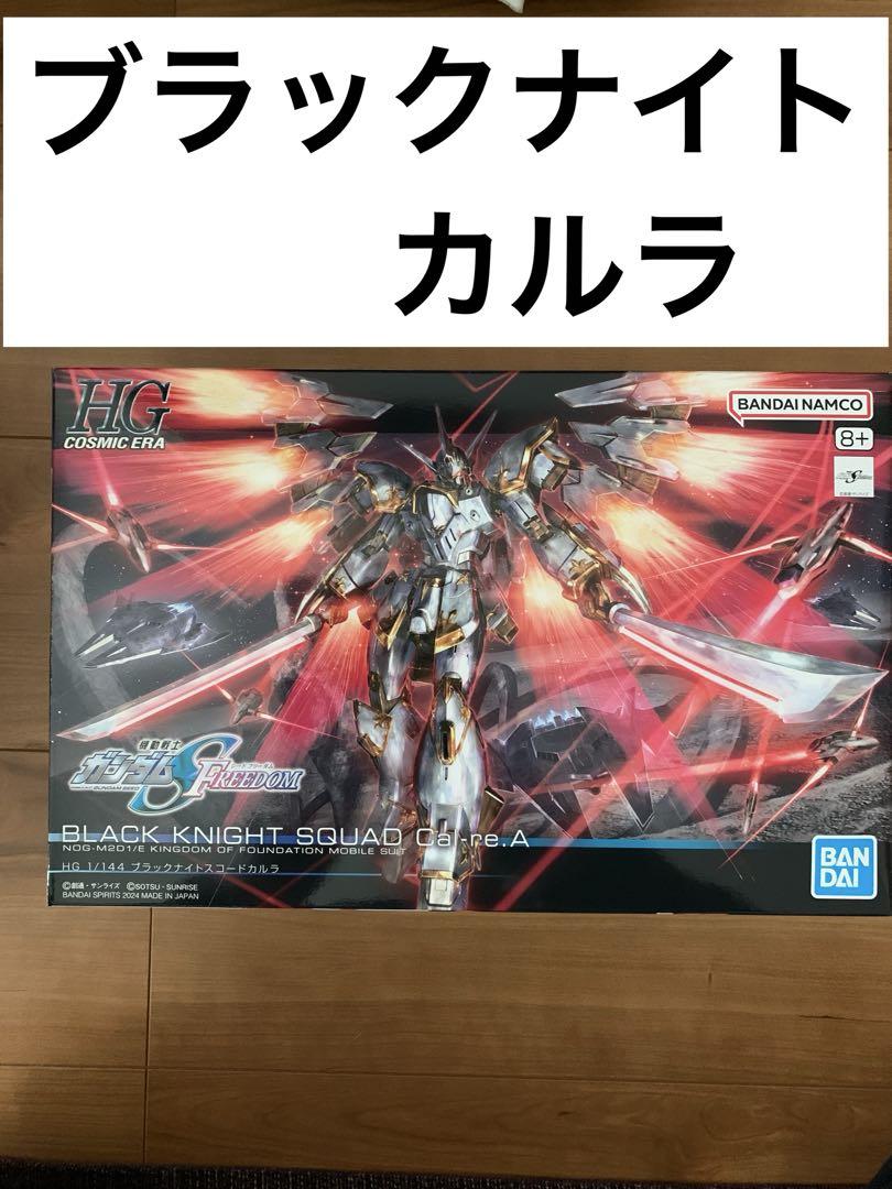 ロボット HG BLACK KNIGHT SQUAD Cal.re A 257