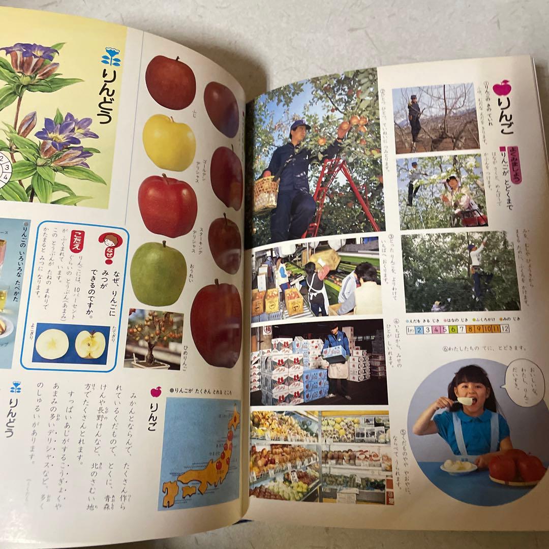 なぜなぜ学習 こども百科 全12巻セット - メルカリ なぜなぜ学習 こども百科 全12巻セット - メルカリ