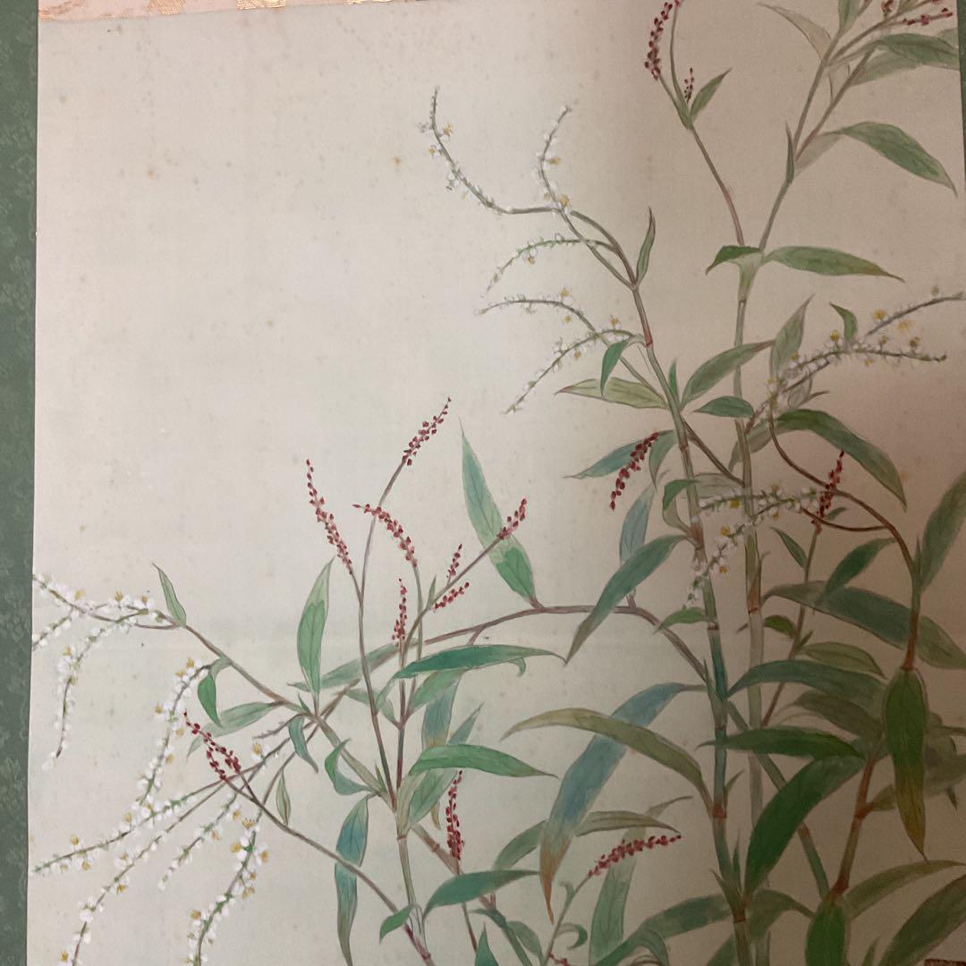 作者不詳です 絹本掛軸 タイトル 【 秋 草 ノ 図 】