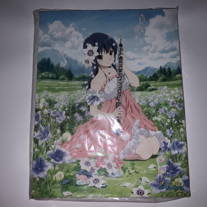 響けユーフォニアム キャンバスアート みぞれ のぞみ
