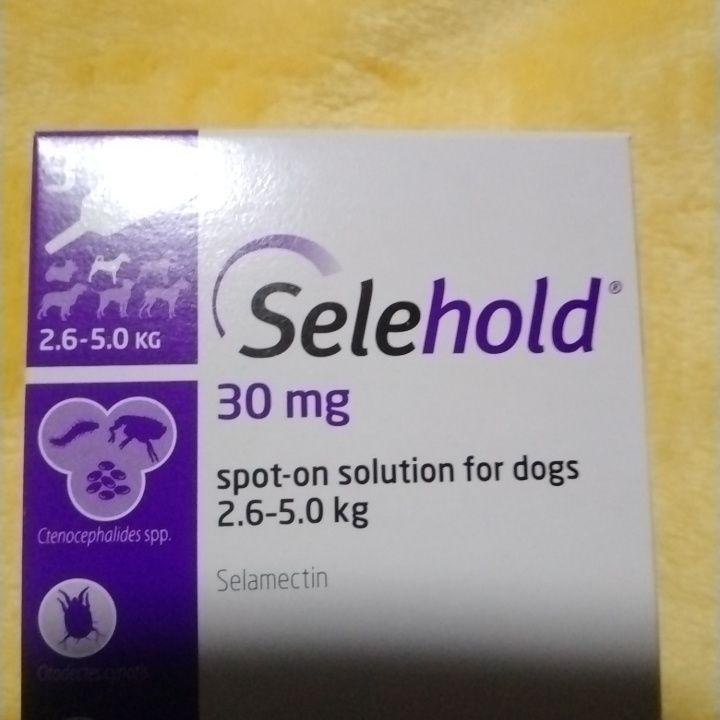 セレホールド　Selehold 30 mg 犬用スポットオン　2箱　犬用