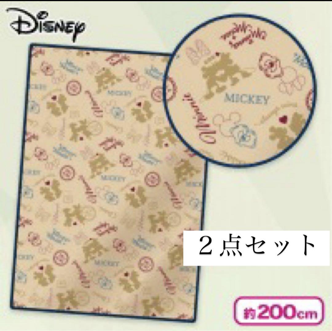 ディズニーマイヤーブランケット２点セット