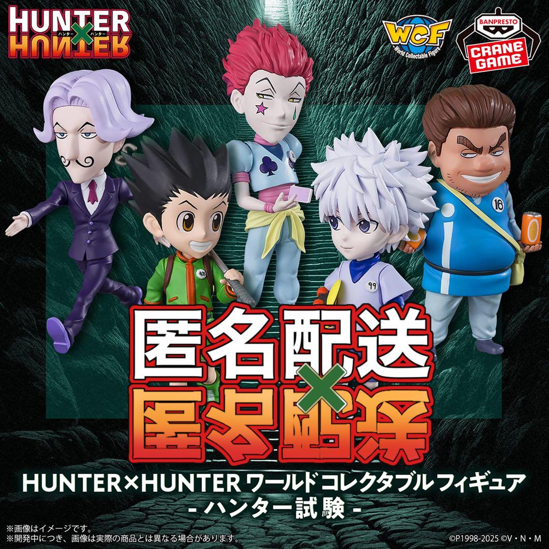 HUNTER ハンター ワールドコレクタブルフィギュア ハンター試験