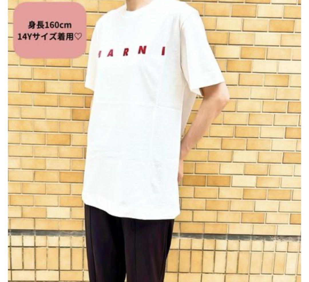MARNI ロゴ Tシャツ ホワイト