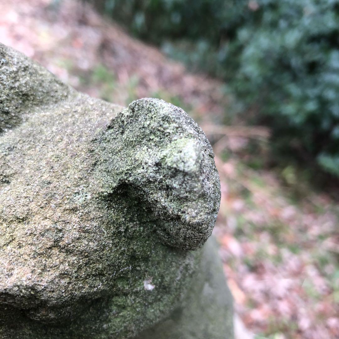 られますが 犬 石像 苔生した時代物 アンティーク置物 ガーデニング素材 Zxa8c-m93058203518 ルカリ